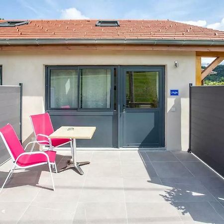 Domaine Des Ecuries - Appartements Meubles A Talloires Exteriör bild